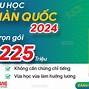 Xin Code Đi Du Học Hàn Quốc 2024 Online Ở Đâu Tốt